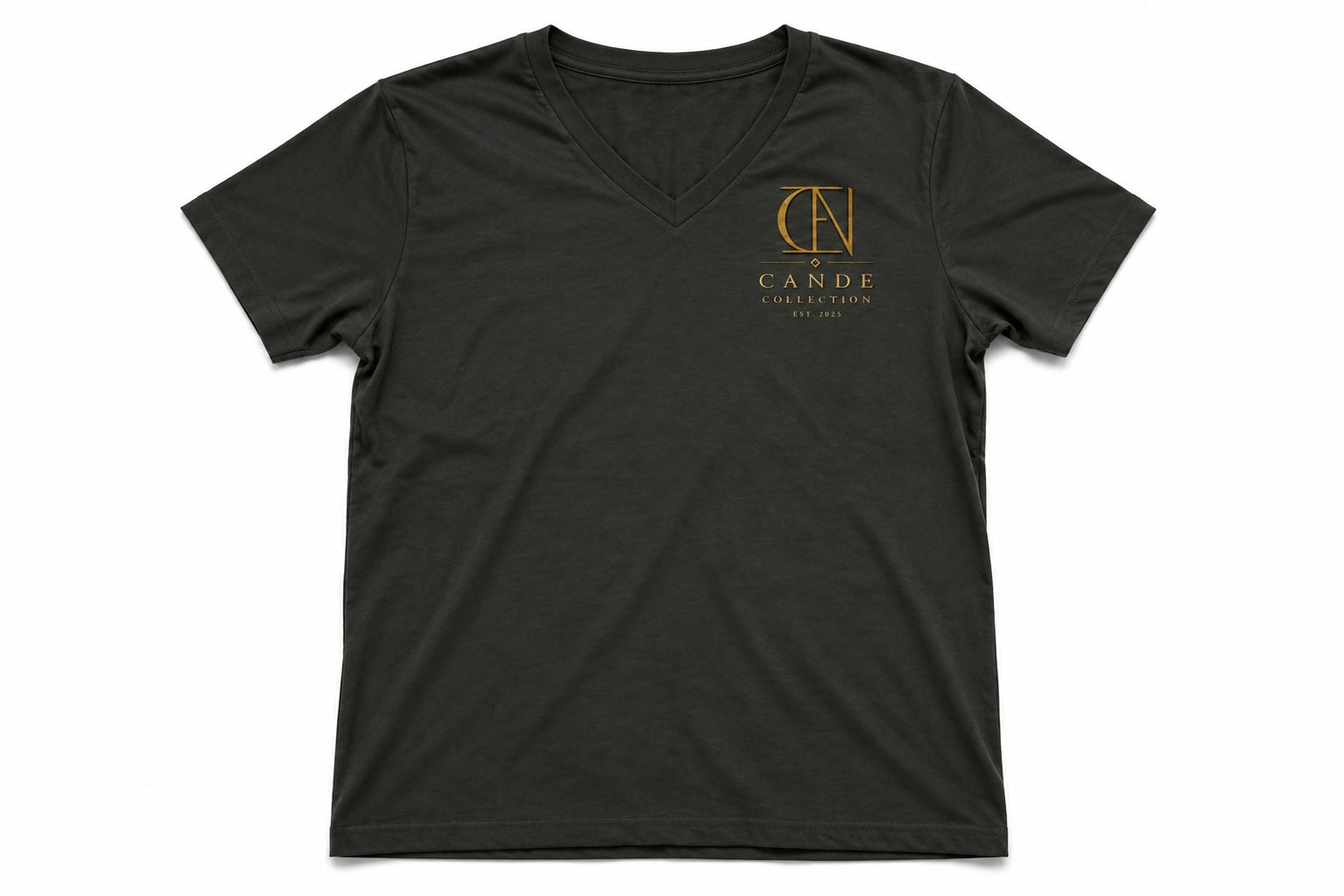 Women's Premium V-Neck Tee