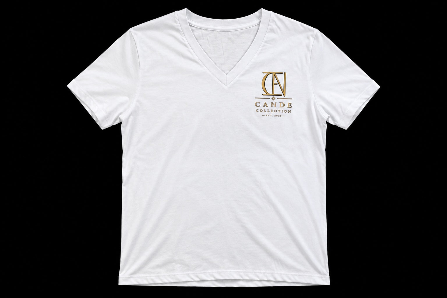 Women's Premium V-Neck Tee